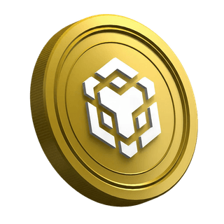 Token da criptomoeda Binance BNB exibido na página de guia voltada para traders iniciantes